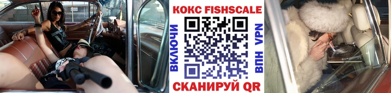 COCAIN Fish Scale mega как войти Димитровград