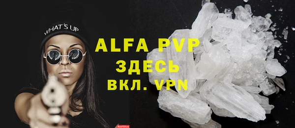 стафф Алзамай