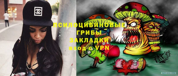 стафф Алзамай