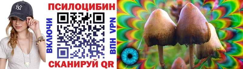 hydra онион  Димитровград  Псилоцибиновые грибы MAGIC MUSHROOMS 